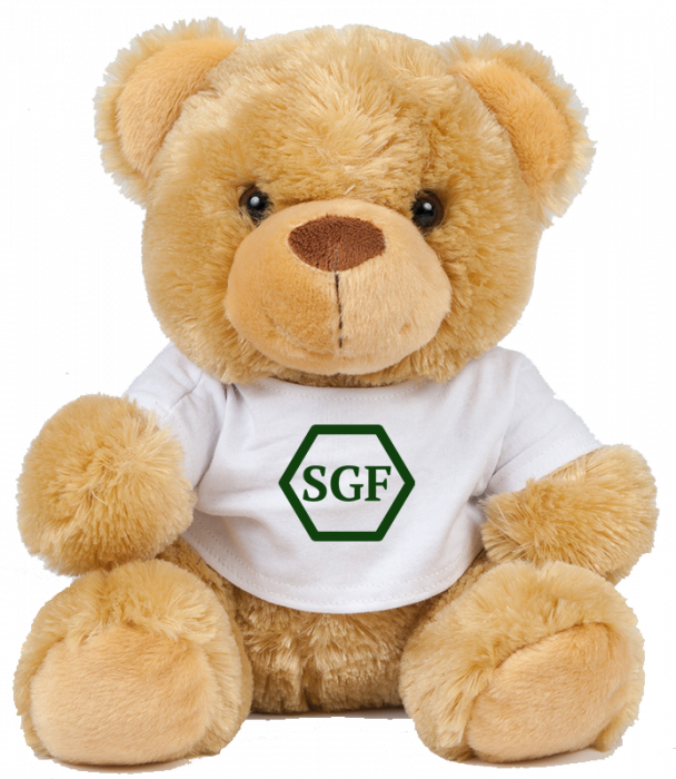 Sportyfied - Stige Gymnastik Mascot Teddy In Tshirt - Lysebrun